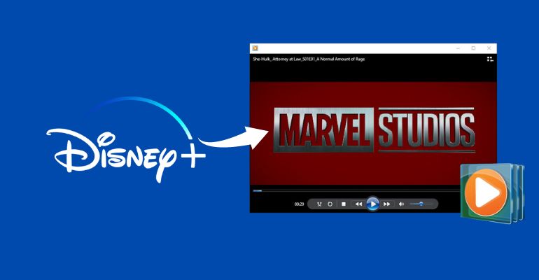 How to Burn Disney+ Video to DVD?