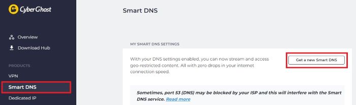 smart dns