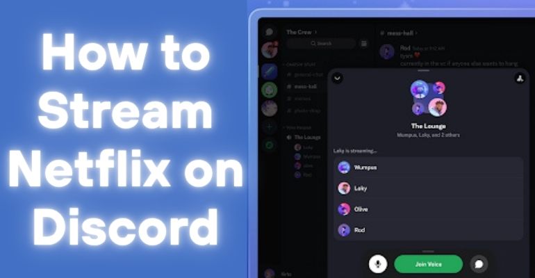 stream netflix on discord